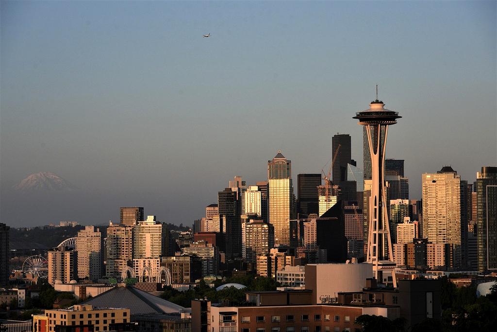 Cozy designed neutral space with modern furniture and warm lighting
