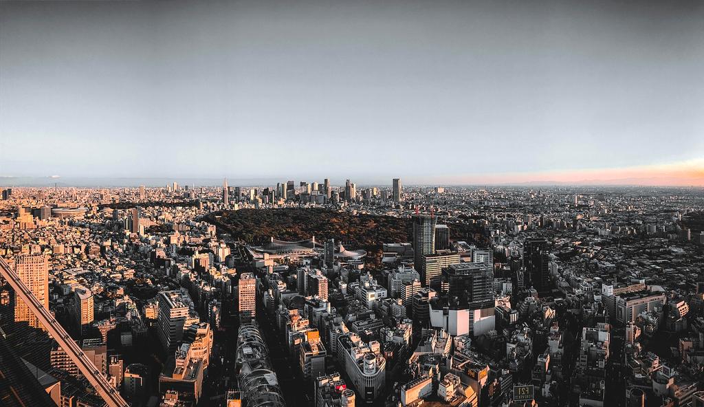 Telepathic home control interface responding to thought patterns